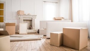 Packers and Movers Ashok Vihar Sonipat