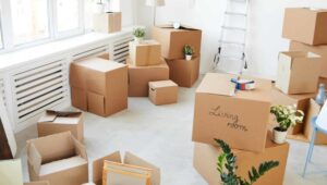 Packers and Movers Ecotech 2 Greater Noida