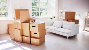 Packers and Movers Sector 10 Greater Noida