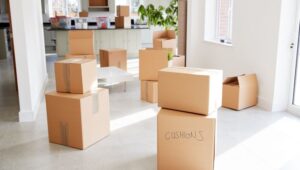 Packers and Movers Sector 14 Sonipat