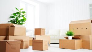 Packers and Movers Ecotech 4 Greater Noida
