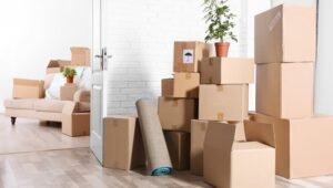 Packers and Movers Shalimar Garden Ghaziabad