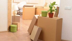 Packers and Movers Sector 16B Greater Noida