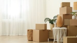 Packers and Movers Pitampura Delhi