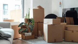 Packers and Movers Sector 37 Greater Noida