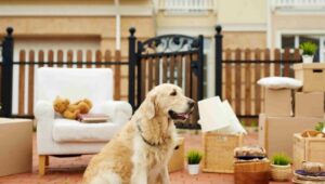 Packers and Movers Karol Bagh Delhi