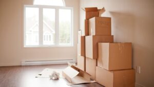 Packers and Movers Mu 1 Greater Noida