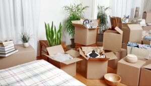 Packers and Movers Balliwala Dehradun